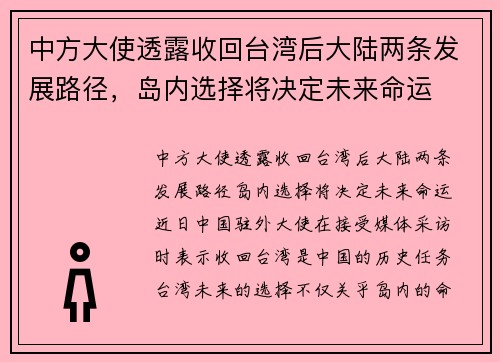中方大使透露收回台湾后大陆两条发展路径，岛内选择将决定未来命运
